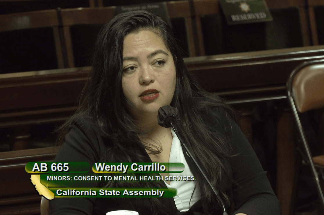 California Assemblywoman Wendy Carrillo (D-Los Angeles) speaks at a hearing with the Assembly Judiciary Committee in Sacramento on March 28, 2023. (Screenshot via California State Assembly)
