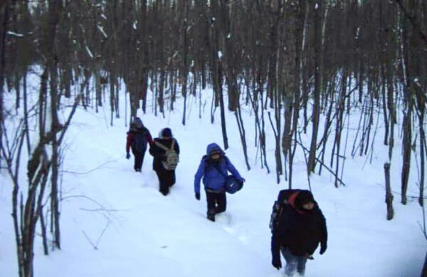 Illegal migrants are caught walking through the snow in the Swanton Sector in this recent U.S. Border Patrol photograph. (U.S. Border Patrol photo)