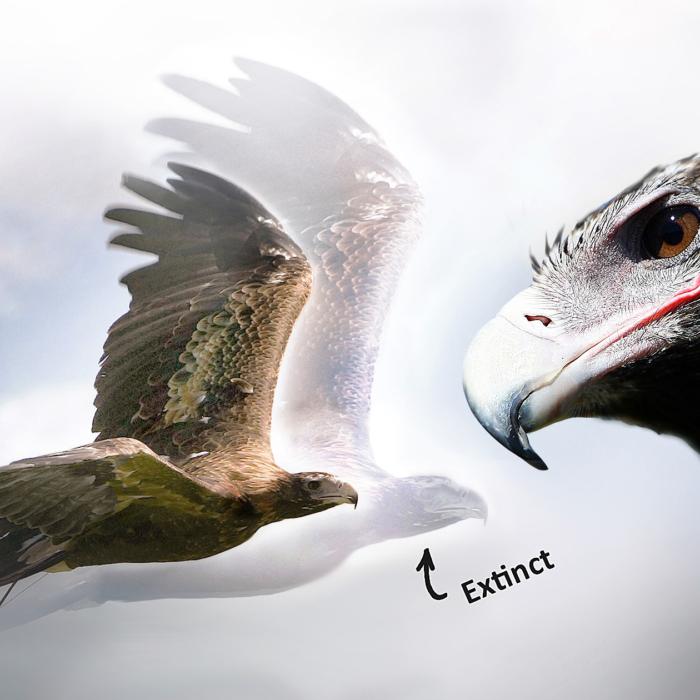The Epoch Times