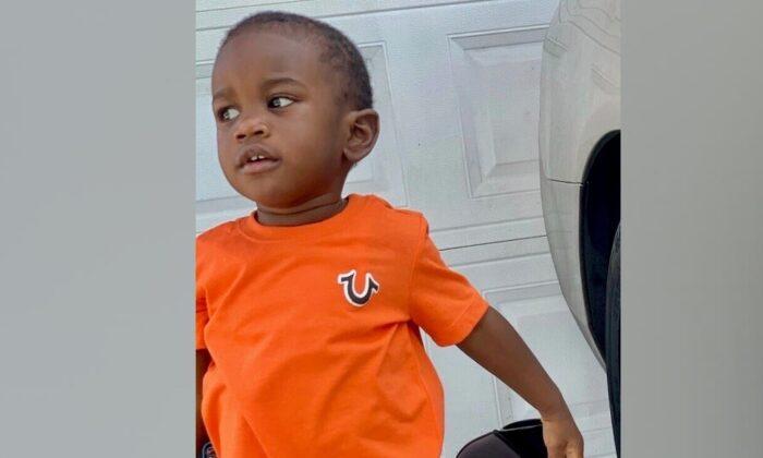 Body of Florida Toddler Found in Alligator Jaws After Search