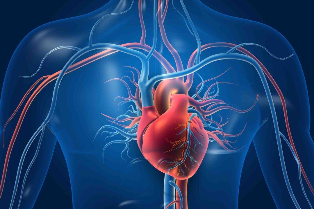 It Takes Only 1 Month to Cure Heart Problems? A Harvard Study Confirms the Existence of Pericardium Meridian