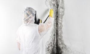 What Should I Do About Mold Removal?