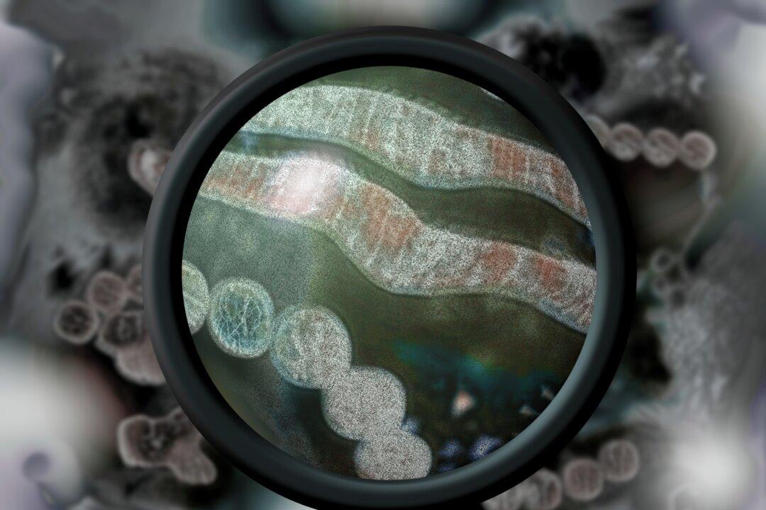 Bird Flu Scare Narrative Ramps Up