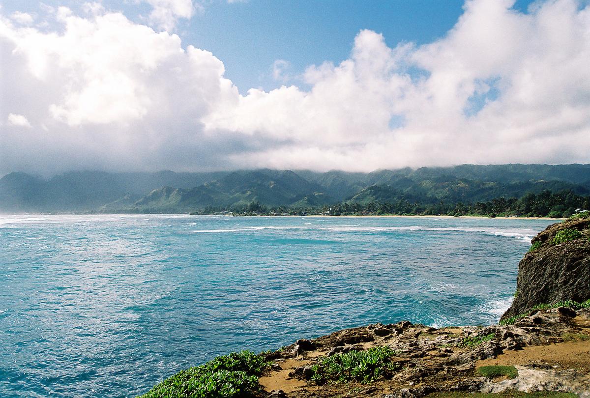 How You Can Go Shark Cage Diving Off Oahu’s North Shore