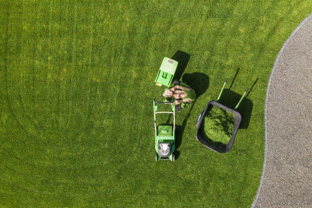What’s the Best Way to Mow My Lawn?