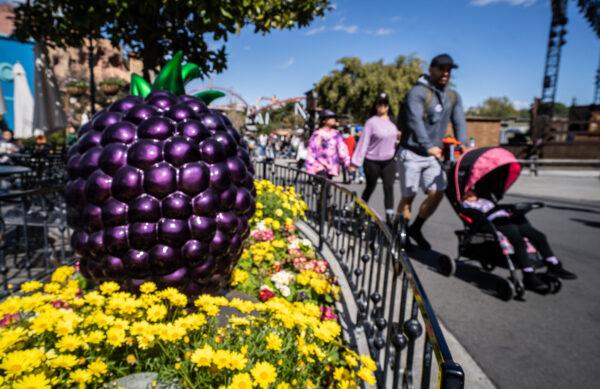 People celebrate the Boysenberry Festival at Knott's Berry Farm theme park in Buena Park, Calif., on April 3, 2023. (John Fredricks/The Epoch Times)