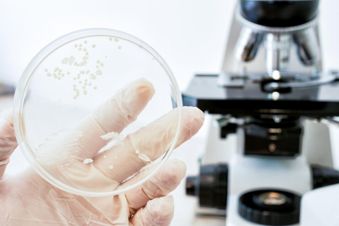 Candida: A Fungus We All Carry That Can Lead to Most Common Fungal Infections, Tips to Fight It