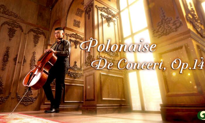 Breathtakingly Beautiful Cello: Polonaise de Concert, Op.14 | Musical Moments