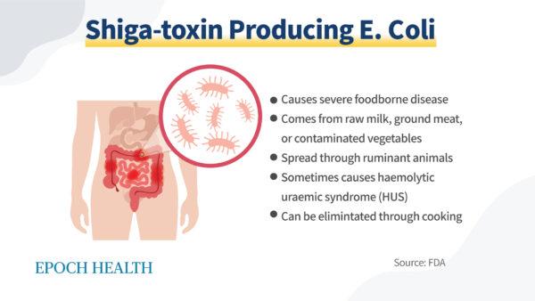 Shiga-toxin producing E. coli is a strain of the E. coli species of bacteria that is highly infectious and can cause life-threatening illness that is challenging to treat, according to Health Canada.