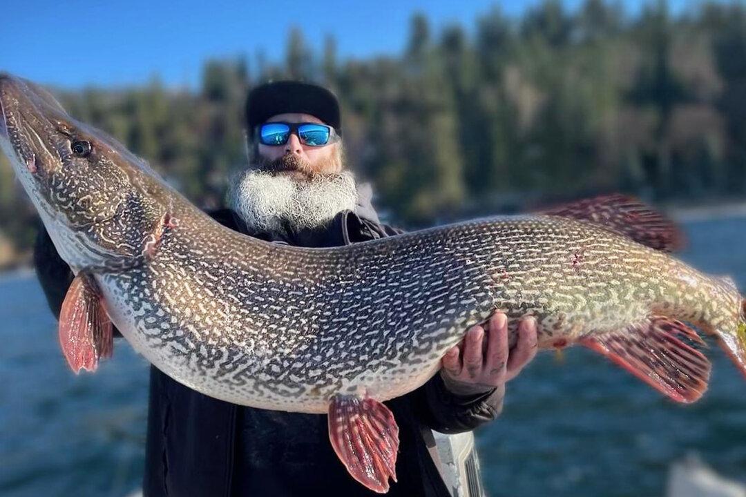 ‘We Needed a Bigger Scale’: Idaho Angler Reels In Monster Pike Weighing Over 40 Pounds for State Record