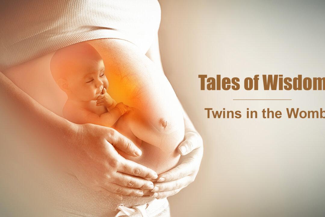‘Do You Believe in Life After Birth?’: A Tale of Twins in the Womb