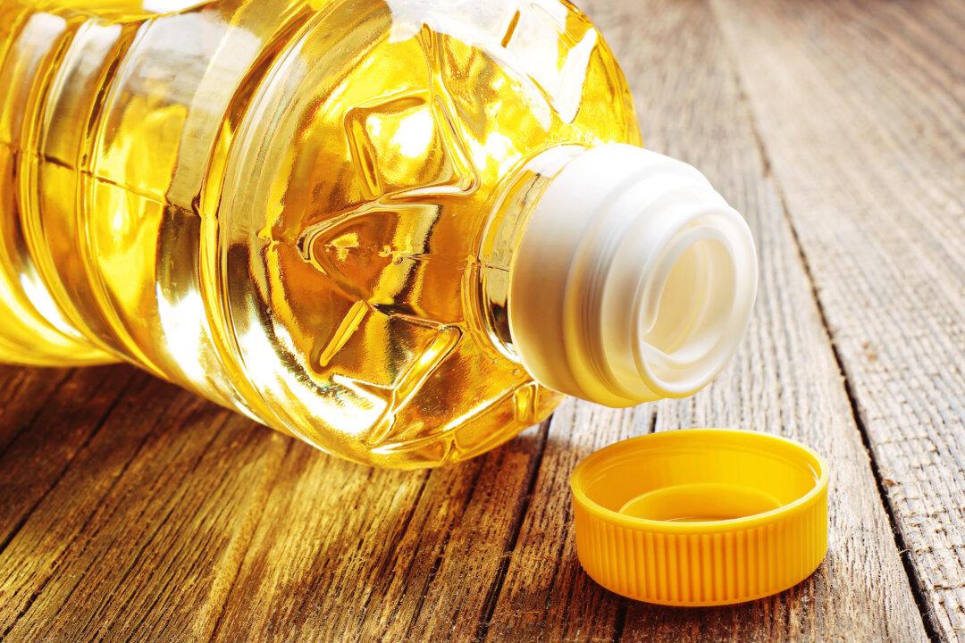 Are Seed Oils Behind the Majority of Diseases This Century?