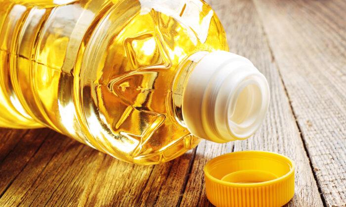 Are Seed Oils Behind the Majority of Diseases This Century?