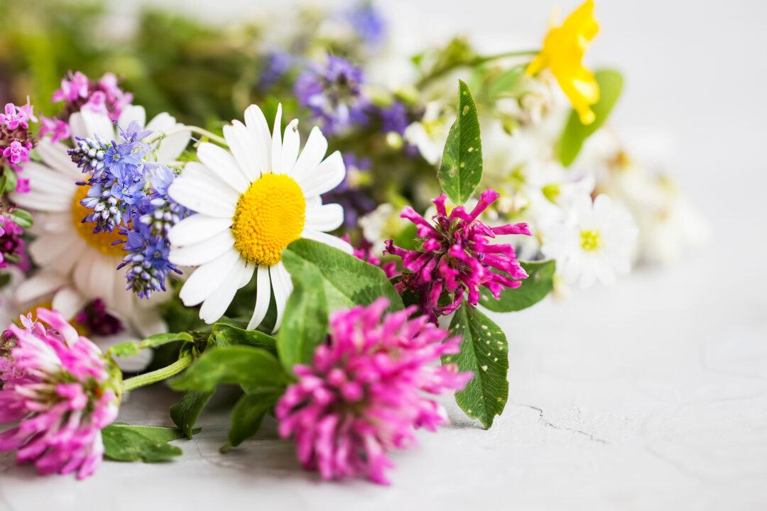 10 Natural Substances for Type 1 Diabetes