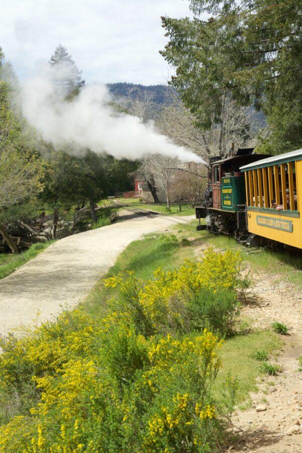 At the end of 75 wonderful minutes, the Dixiana steams back to Roaring Camp. (Courtesy of Karen Gough)