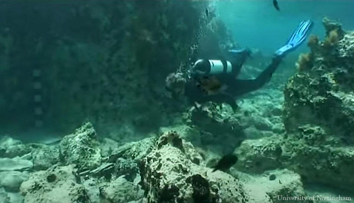 A diver examines the ruins of Pavlopetri during a 21st-century expedition. (Courtesy of <a href="https://www.nottingham.ac.uk/">the University of Nottingham</a>)