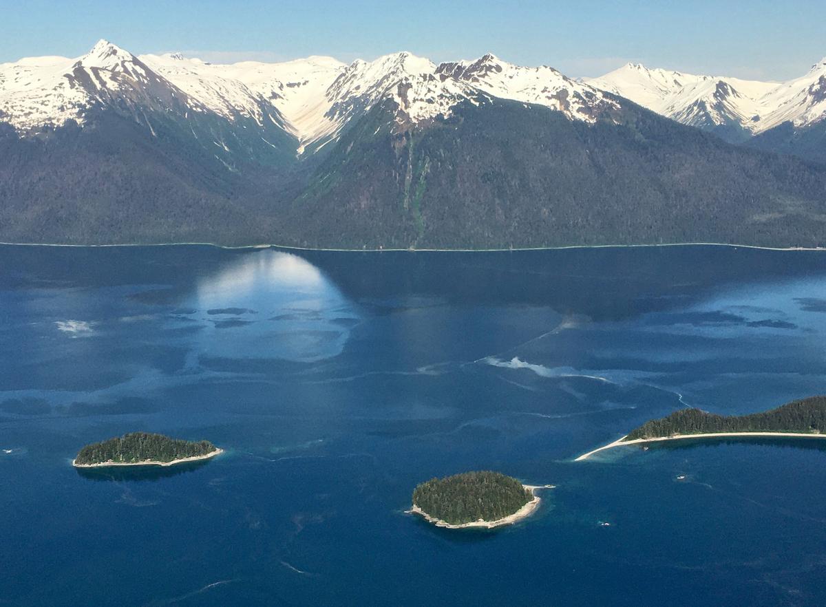 The plane from Juneau flew over Glacier Bay toward Gustavus, which has a few hundred residences in the area. (Lewis Leung/Minneapolis Star Tribune/TNS)