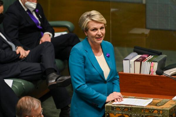 Australian Minister for Environment and Water Tanya Plibersek speaks during question time at Parliament House in Canberra, Australia, on July 28, 2022. (Martin Ollman/Getty Images)
