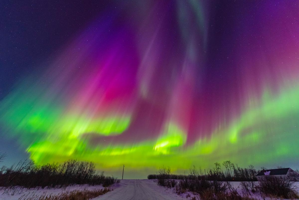 Brilliant red, purple, and green aurora hang over the skies of Saskatchewan, Canada, north of Saskatoon. (Courtesy of <a href="https://www.facebook.com/5elementsxposure">Gunjan Sinha</a>)