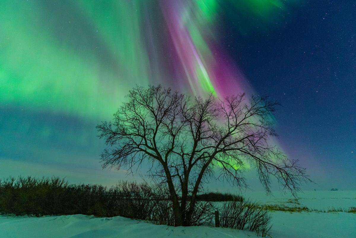 Green and pink auroras light up the skies over Saskatchewan, Canada. (Courtesy of <a href="https://www.facebook.com/5elementsxposure">Gunjan Sinha</a>)