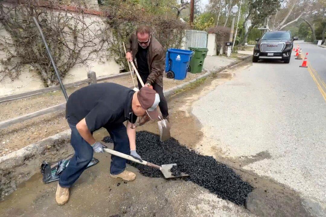 Arnold Schwarzenegger’s Move to Fill ‘Pothole’ Sparks Controversy in Los Angeles