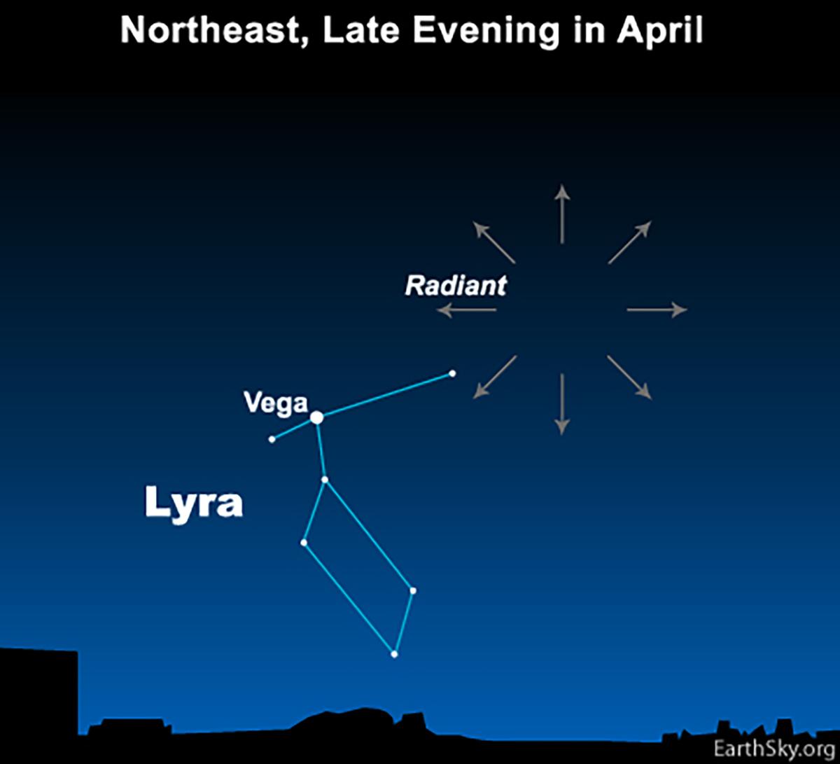 The Lyrids' radiant point near the constellation Lyra. (<a href="https://commons.wikimedia.org/wiki/File:Lyrid_meteor_shower_radiant_point.jpeg">DeborahByrd</a>/CC BY 3.0)