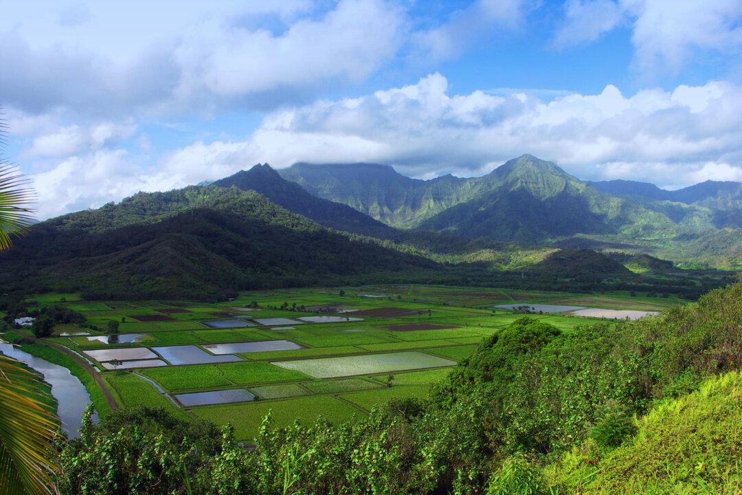 ‘Try Slow’ on the North Shore of Kauai, Where Regenerative Tourism Is the Way