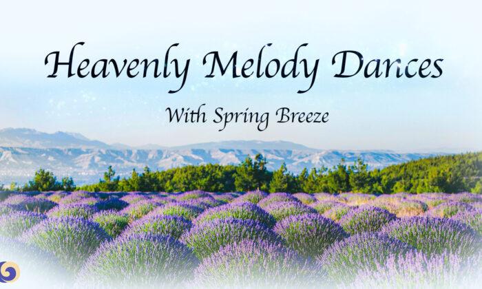 Heavenly Melody Dances With Spring Breeze | Chinese Music | Musical Moments