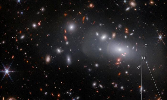 Compact Galaxy’s Discovery Shows Webb Telescope’s ‘Amazing’ Power