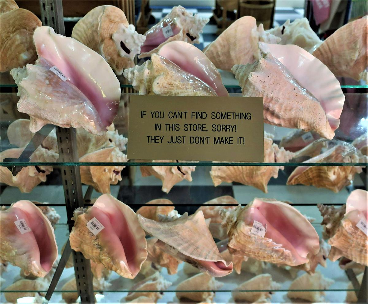 A sign in the World’s Largest Shell Store in Bonita, Florida, gives a clue about the number of products they carry. (Photo courtesy of Victor Block)