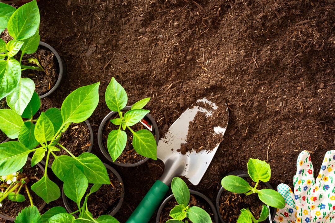 How Waterwise, Drought-Tolerant Garden Landscapes Are Being Developed