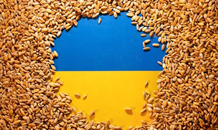 Ukraine Grain Import Bans Mount as Kyiv Seeks Transit Deal