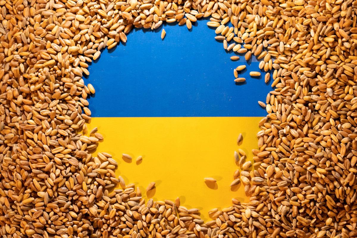 Ukraine Grain Import Bans Mount as Kyiv Seeks Transit Deal
