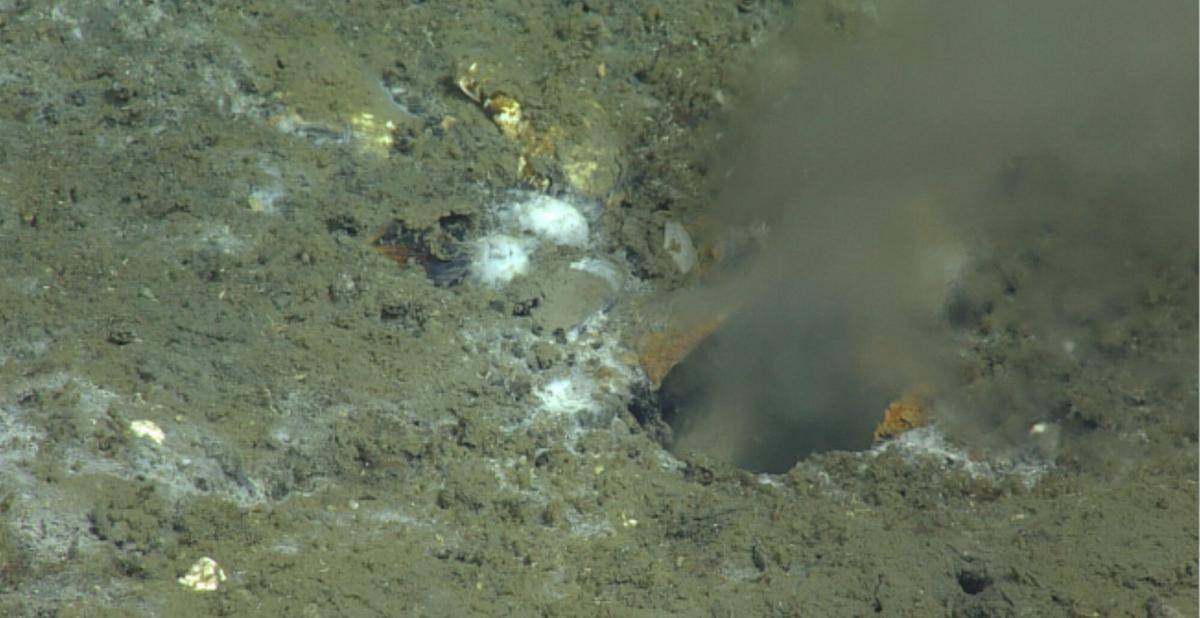 A Leak on Pacific Ocean Floor May Be Source of Earthquake, Scientists Say