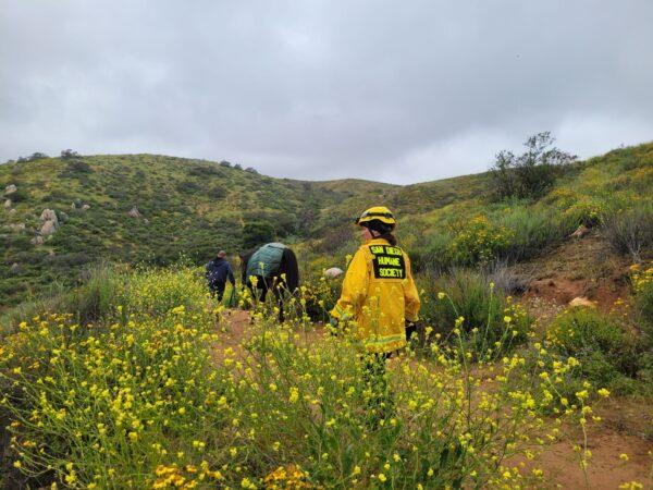 Emergency crews and animal-welfare workers rescued eight-year-old Dobby that slipped and fell off a trail near state Route 94 in the eastern San Diego County back country on April, 17, 2023. (Courtesy of San Diego Humane Society)