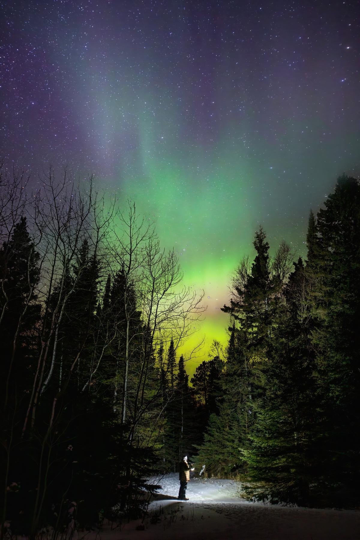 Auroras over the woods photographed by Narog. (Courtesy of <a href="https://www.instagram.com/nicholas_j._narog_photography/">Nicholas J. Narog Photography</a>)