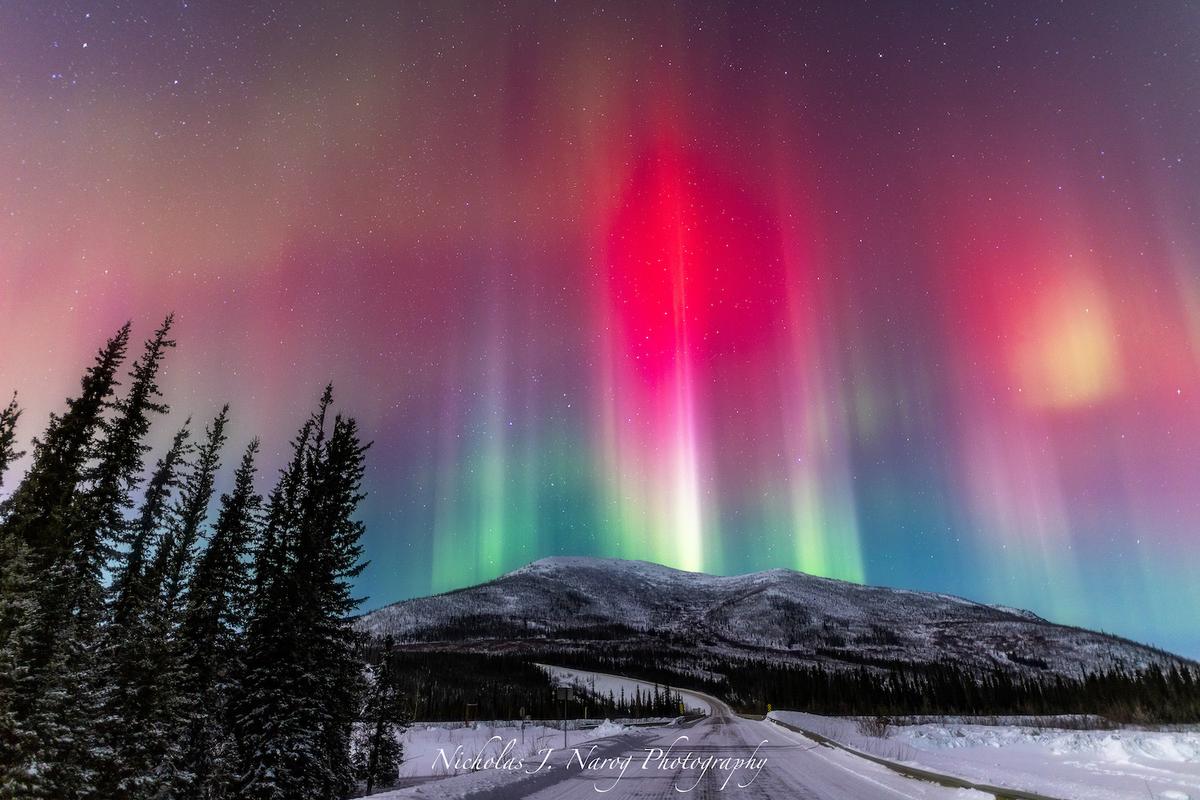 Red and green auroras dance over a winter landscape. (Courtesy of <a href="https://www.instagram.com/nicholas_j._narog_photography/">Nicholas J. Narog Photography</a>)