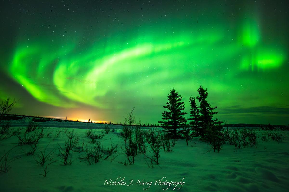 Green auroras light up the sky during a photoshoot. (Courtesy of <a href="https://www.instagram.com/nicholas_j._narog_photography/">Nicholas J. Narog Photography</a>)
