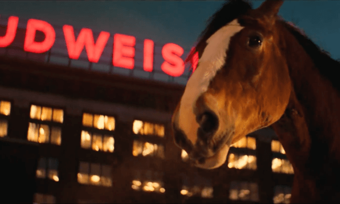 IN-DEPTH: Can Budweiser’s New Pro-America Ad Fix Transgender Controversy? Beer Drinkers Doubt It