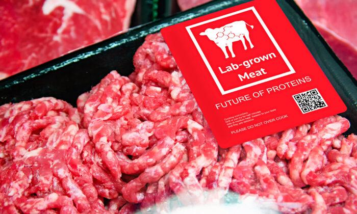 Lab-Grown Meat: A Promising Future or Dystopian Fate?