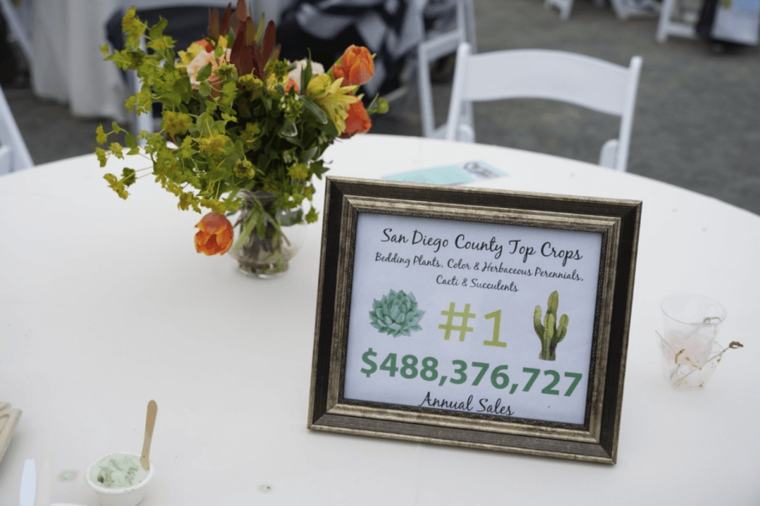 Carlsbad’s ‘Graze at the Fields’ Showcases San Diego’s Agricultural Diversity