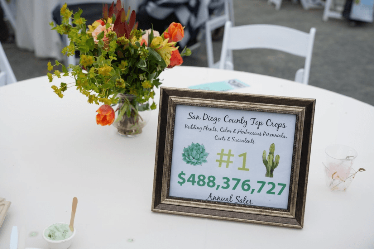 Carlsbad’s ‘Graze at the Fields’ Showcases San Diego’s Agricultural Diversity