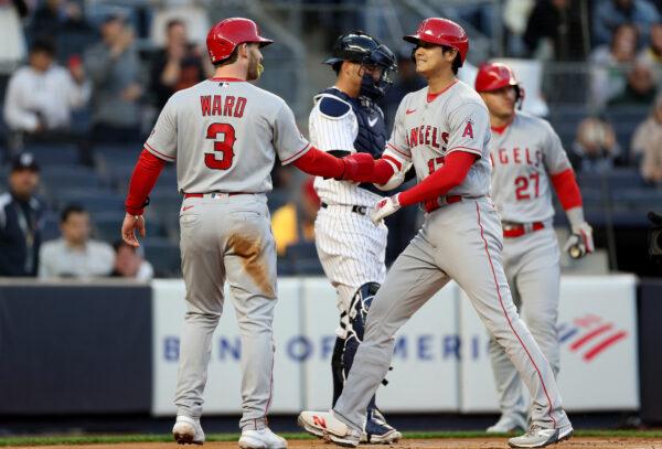 Taylor Ward (3) of the Los Angeles Angels congratulates Shohei Ohtani (17) after Ohtani drove them both home with a two run home run in the first inning against the New York Yankees at Yankee Stadium in the Bronx borough of New York City on April 18, 2023. (Elsa/Getty Images)
