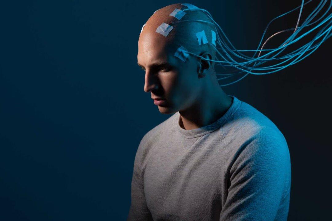 The Manipulation of the Public Mind