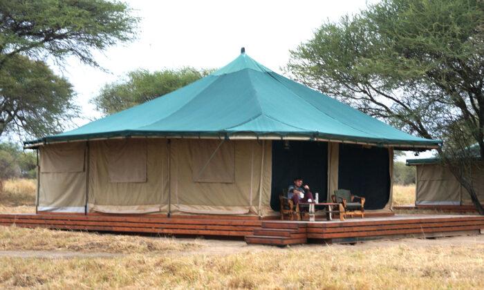 Honeyguide Camp Is an Oasis of Luxury in the African Wilderness