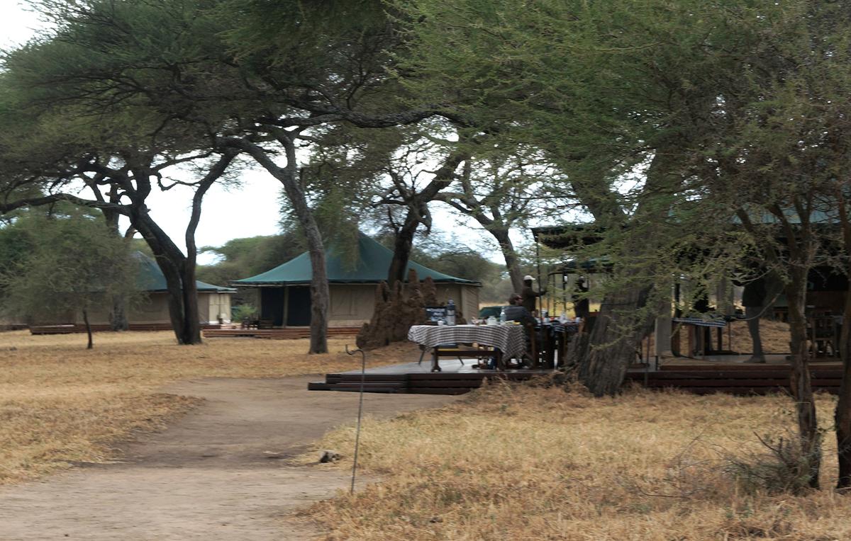 The Honeyguide Tarangire Camp includes a large covered gathering area for serving and eating meals. (Colleen Thomas/TNS)