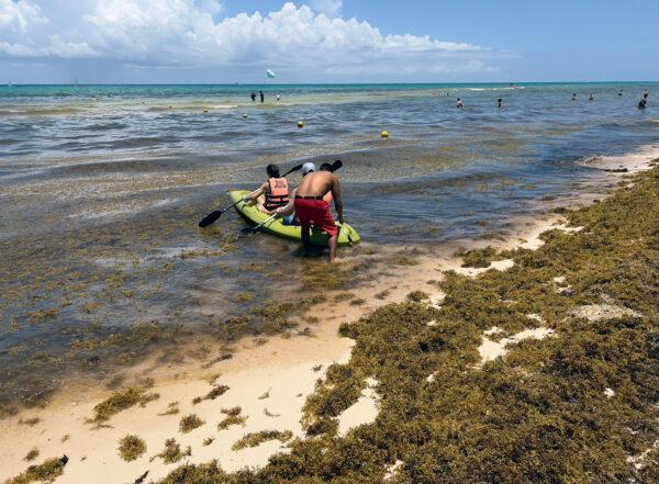 Tourists on beaches covered with sargassum seaweed, in Playacar, Playa del Carmen, state of QuintanaRoo, Mexico, on June 26, 2022. (Daniel Slim/AFP/Getty Images/TNS)