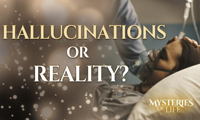 Are Near-Death Experiences Just Hallucinations? What a Leading Researcher Has Found | Mysteries of Life (S1, E5)