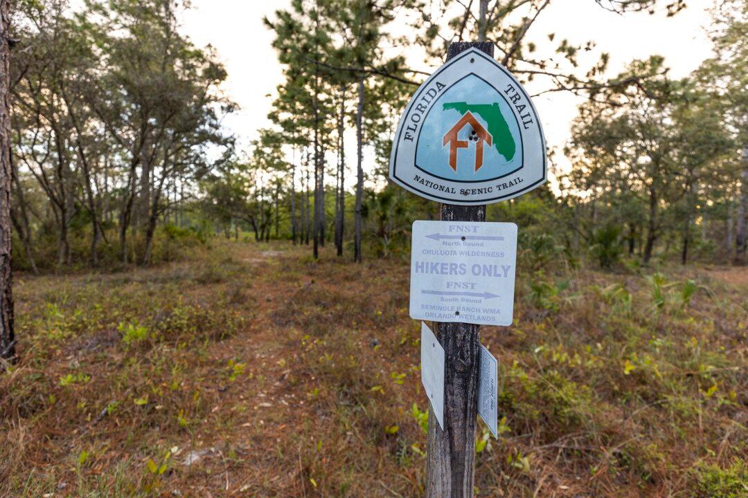 Charles H. Bronson State Forest: A Hidden Gem in Central Florida