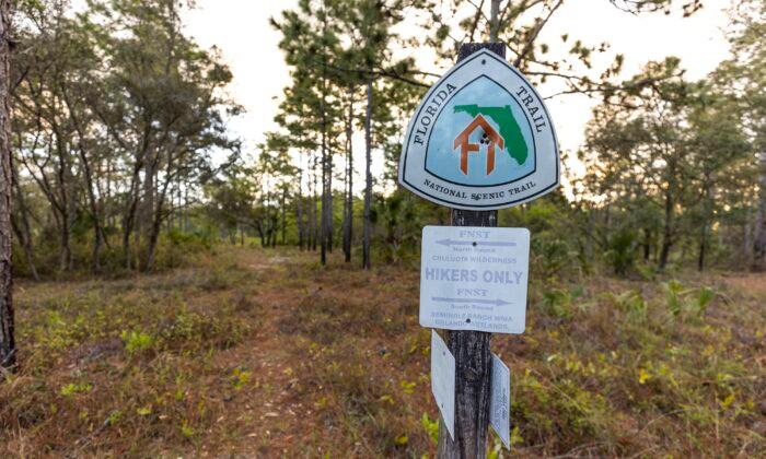 Charles H. Bronson State Forest: A Hidden Gem in Central Florida